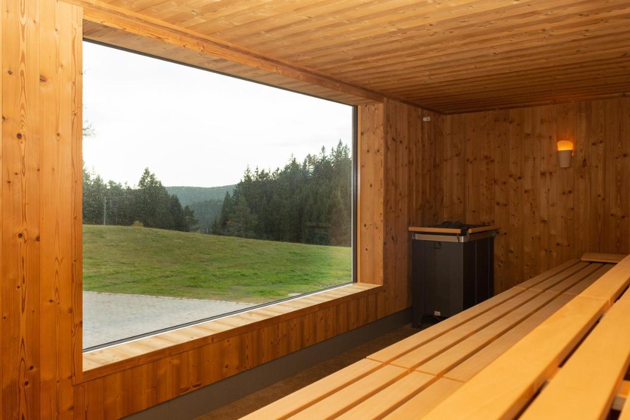 Hotel Schoene Aussicht Hornberg Eksteriør billede