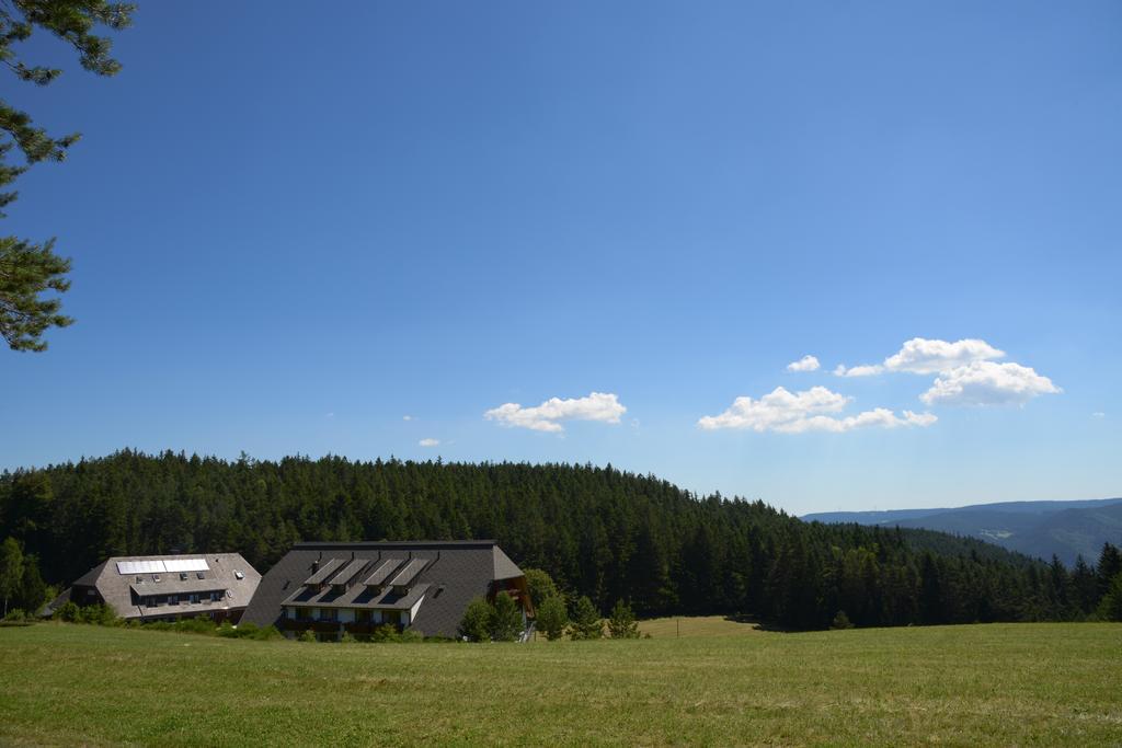 Hotel Schoene Aussicht Hornberg Eksteriør billede